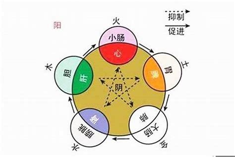 火 数字|数字对应啥五行